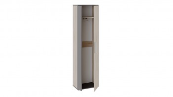Шкаф для одежды «Нуар» тип 1 Фон серый/Дуб сонома в Куйбышеве - kujbyshev.mebel54.com | фото