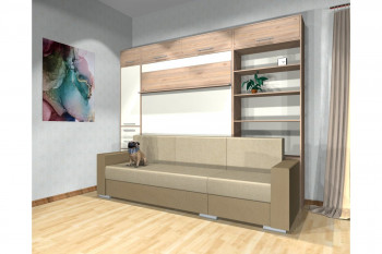 Шкаф-кровать с диваном Каролина в Куйбышеве - kujbyshev.mebel54.com | фото